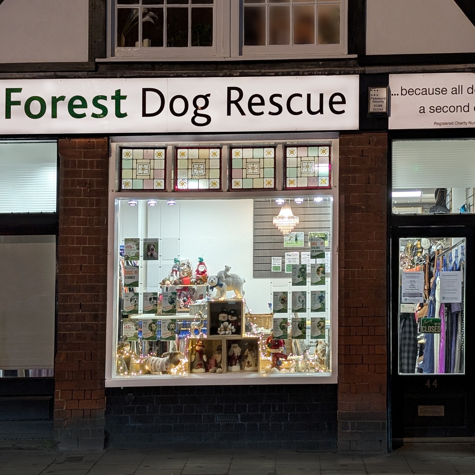 forest dog rescue