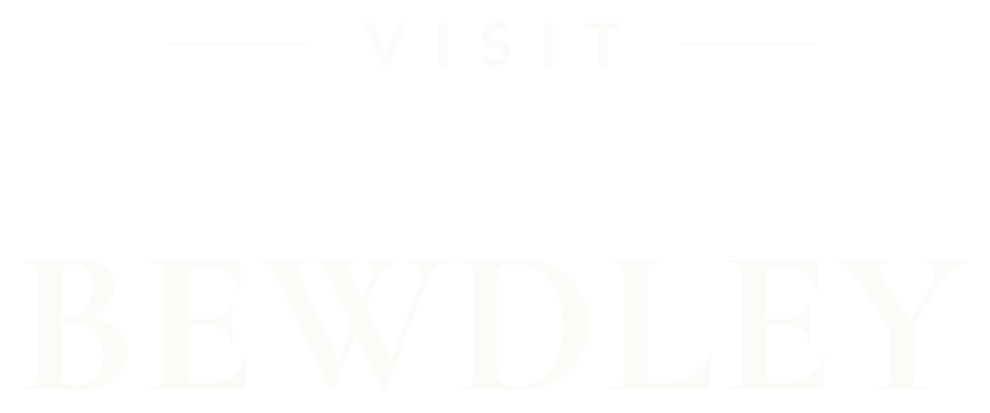 wordmark white transparent narrow